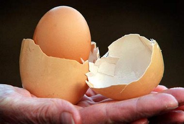 Double egg